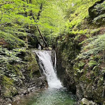 Holiday home Thistle Lodge, District Shepherd Hut With Hot Tub Coniston