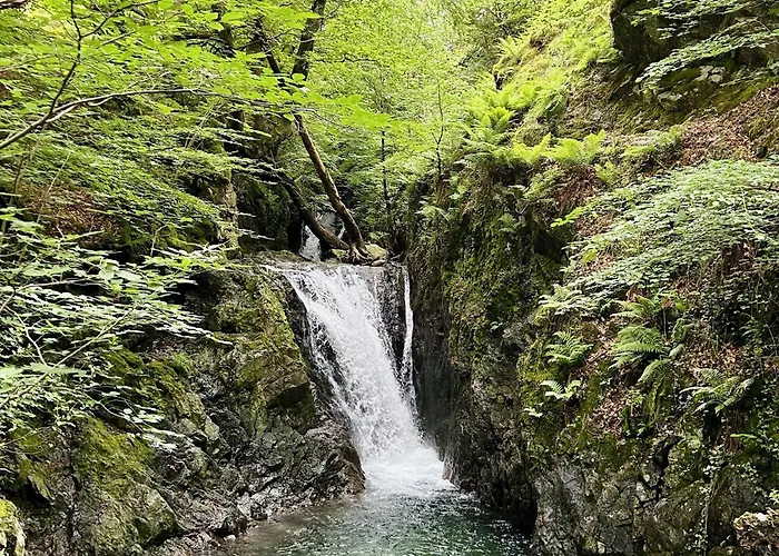 Holiday home Thistle Lodge, District Shepherd Hut With Hot Tub Coniston